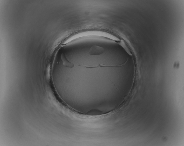X0000111810019200907301243