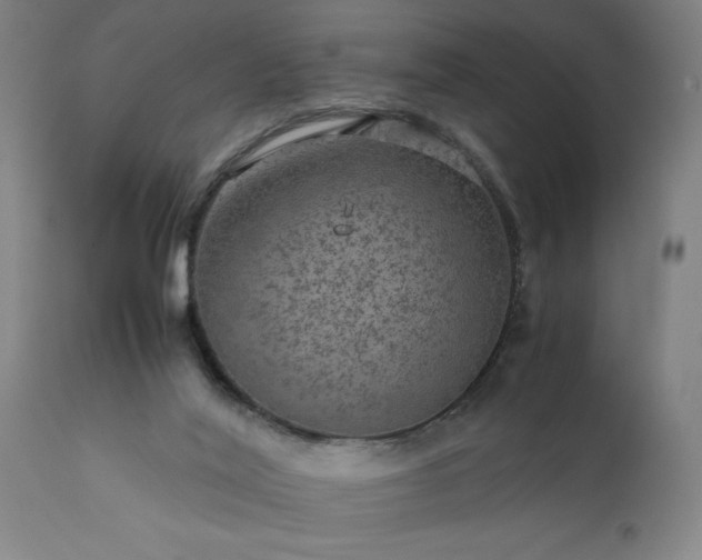 X0000111810020200907301243