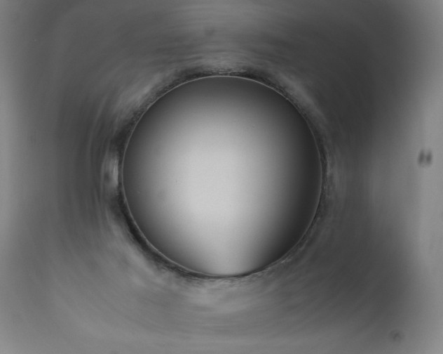 X0000111810021200907301243