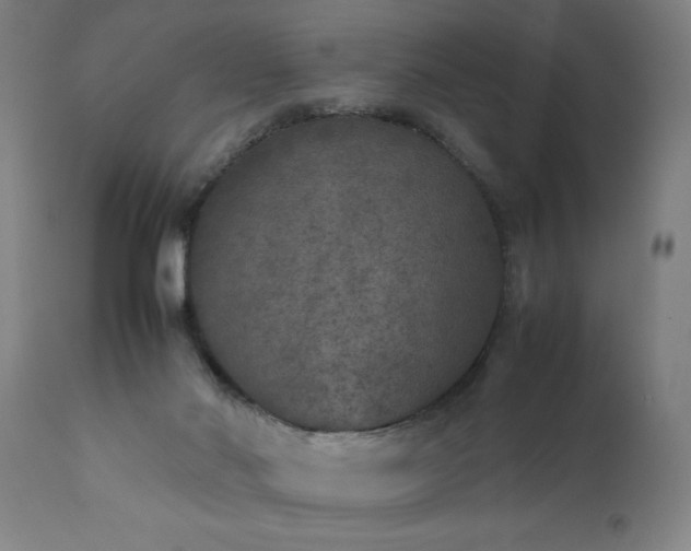 X0000111810022200907301243