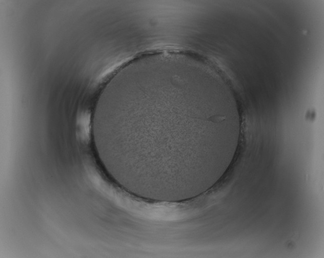 X0000111810024200907301243
