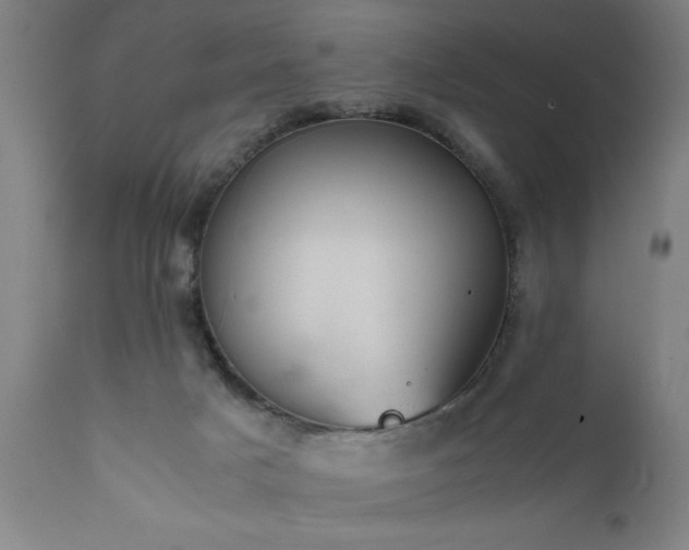 X0000111810025200907301243