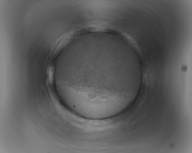 X0000111810026200907301243