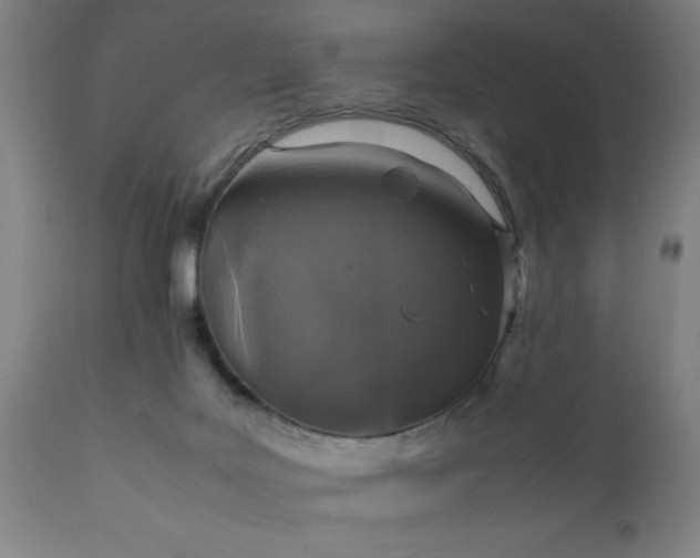 X0000111810027200907301243