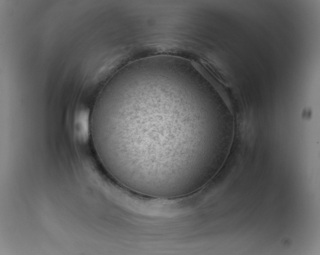 X0000111810028200907301243