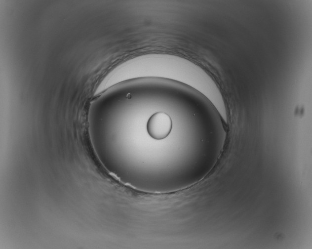 X0000111810029200907301243
