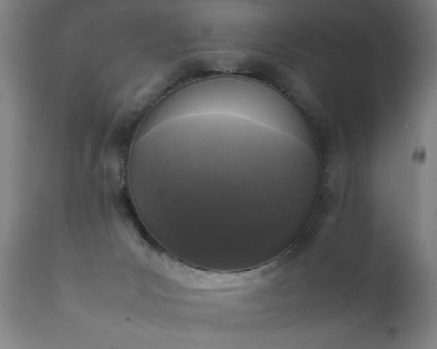 X0000111810031200907301243