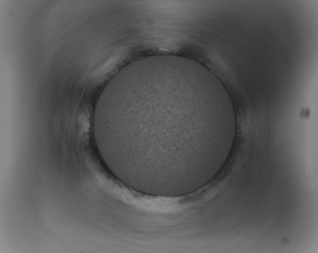 X0000111810032200907301243