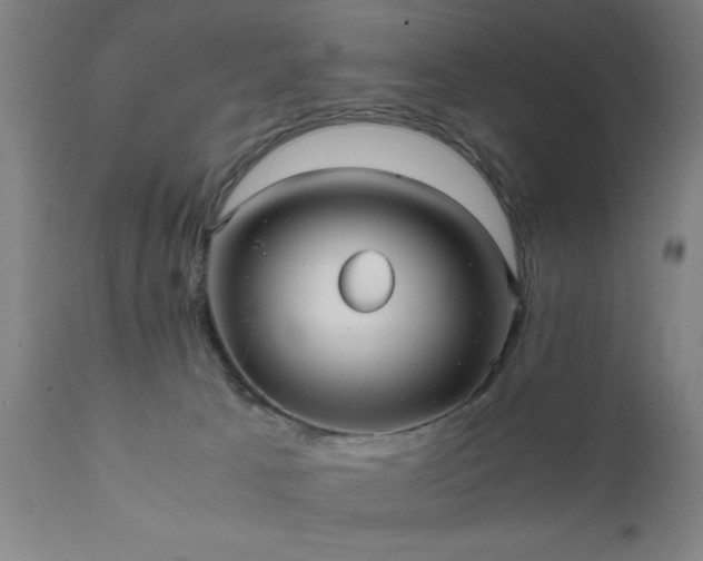 X0000111810033200907301243