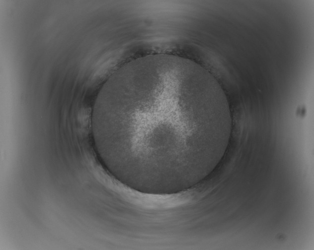 X0000111810034200907301243