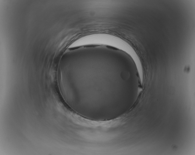 X0000111810035200907301243