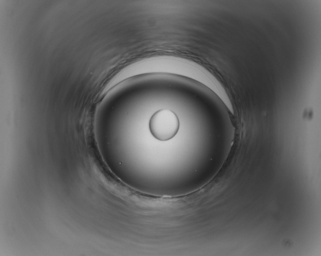 X0000111810036200907301243