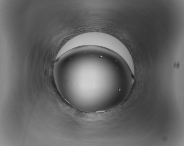 X0000111810037200907301243