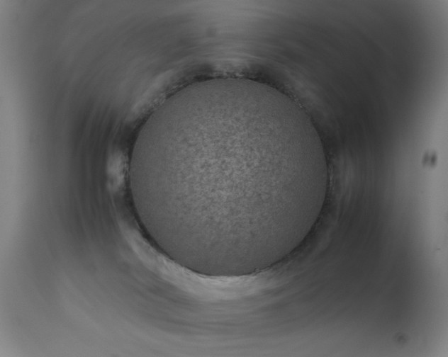 X0000111810038200907301243