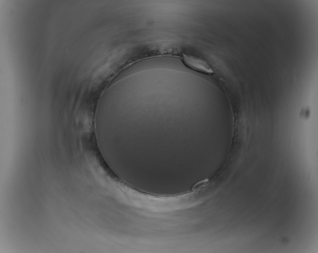X0000111810039200907301243