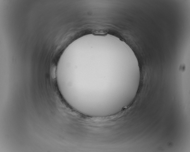 X0000111810041200907301243