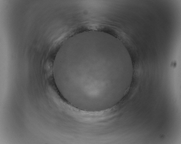X0000111810043200907301243
