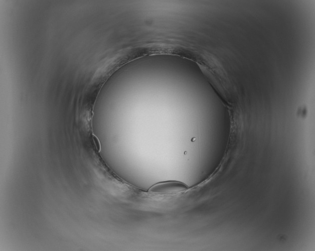 X0000111810045200907301243
