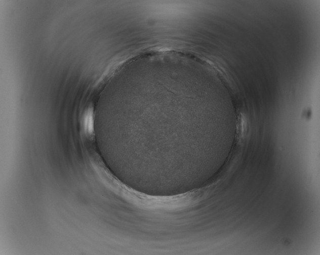 X0000111810046200907301243