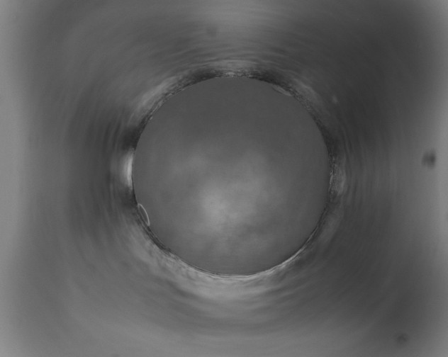 X0000111810047200907301243