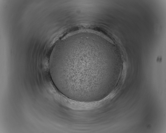 X0000111810048200907301243