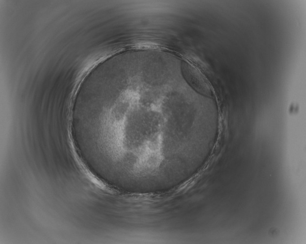 X0000111810049200907301242