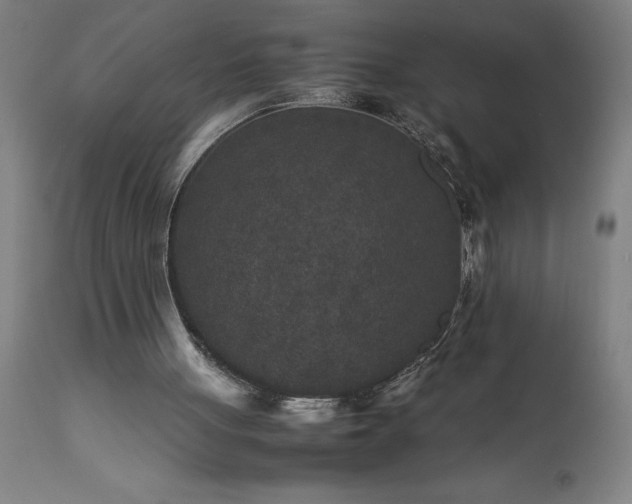 X0000111810051200907301242
