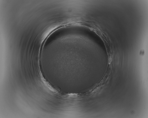 X0000111810052200907301242