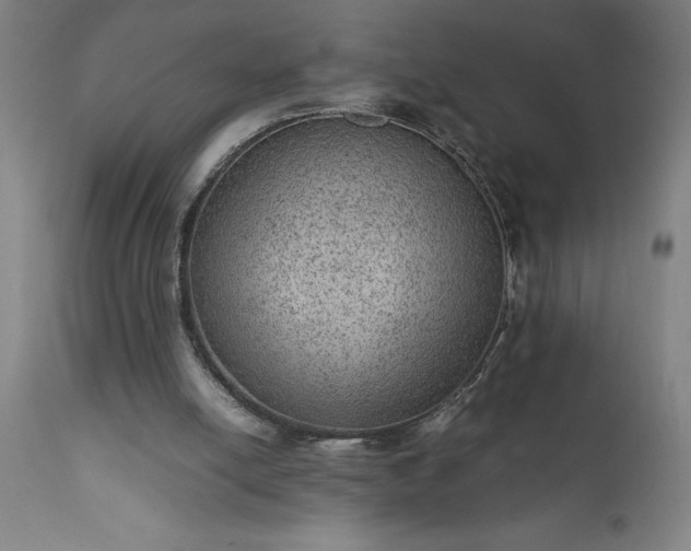 X0000111810054200907301242