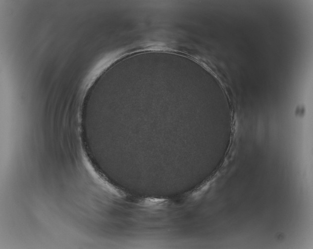 X0000111810055200907301242
