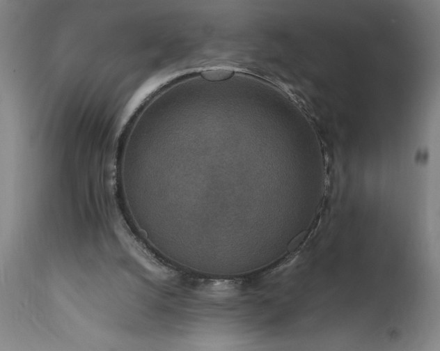 X0000111810056200907301242