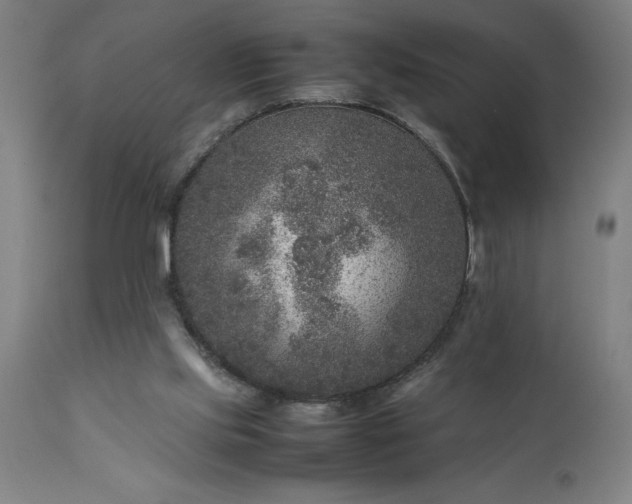 X0000111810061200907301242