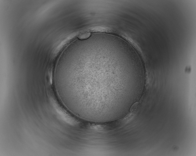 X0000111810062200907301242