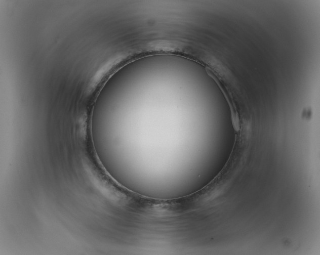 X0000111810064200907301242
