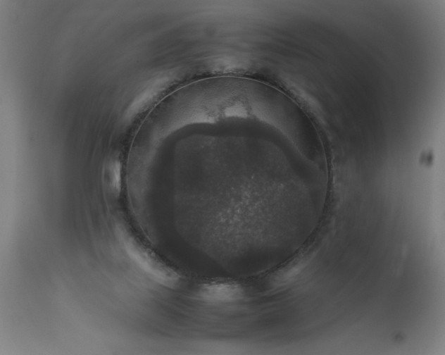 X0000111810067200907301242