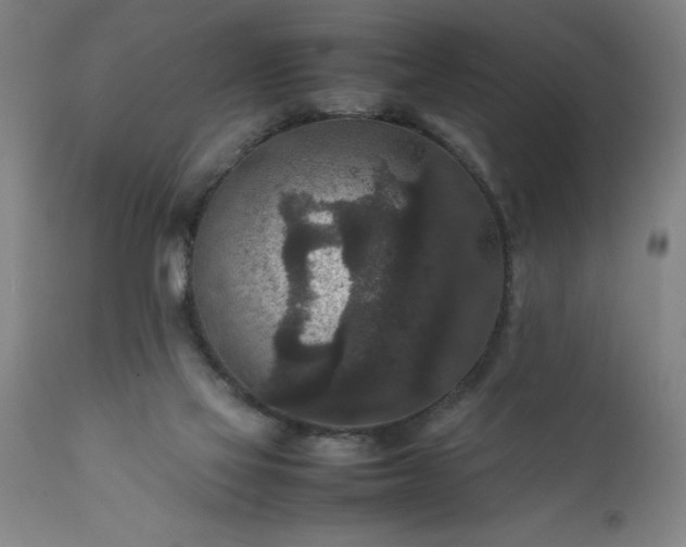 X0000111810069200907301243