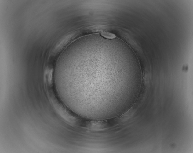 X0000111810070200907301243
