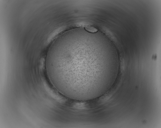 X0000111810071200907301243