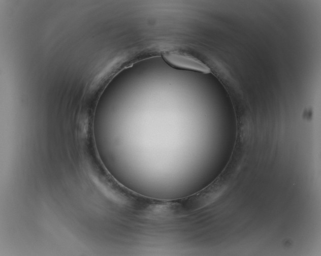 X0000111810072200907301243