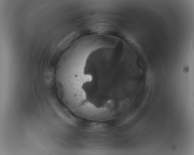 X0000111810073200907301243