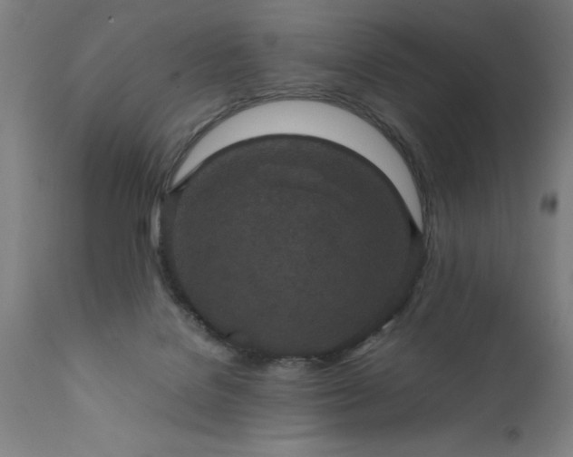 X0000111810076200907301243