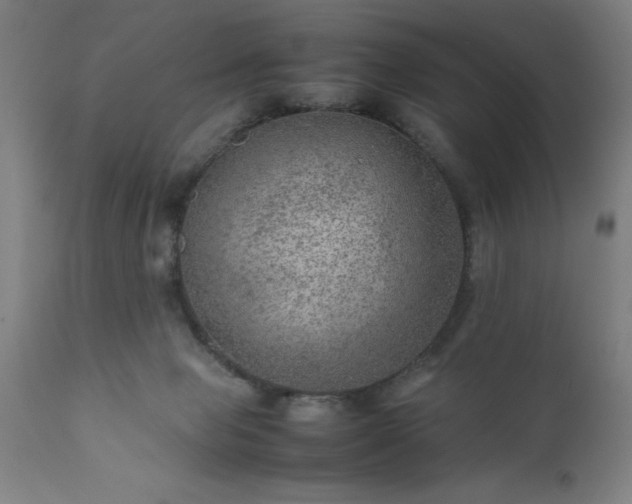 X0000111810077200907301243
