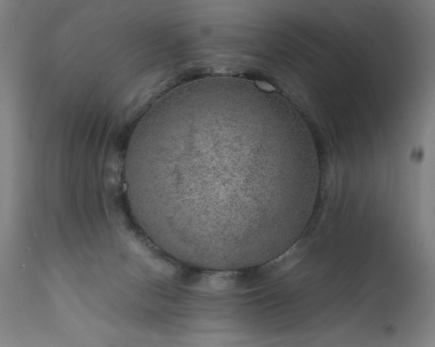 X0000111810078200907301243