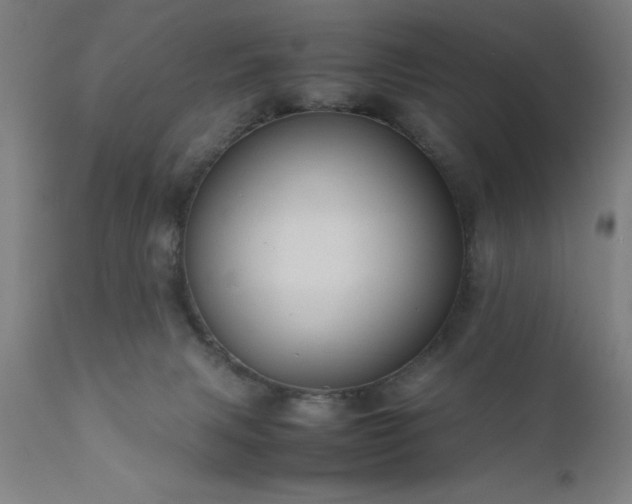 X0000111810079200907301243