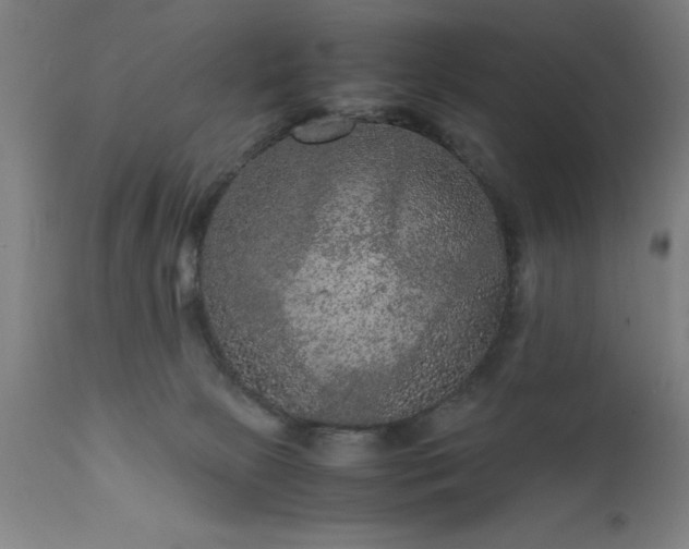 X0000111810081200907301243