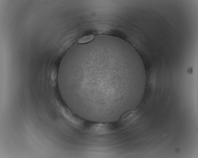 X0000111810082200907301243