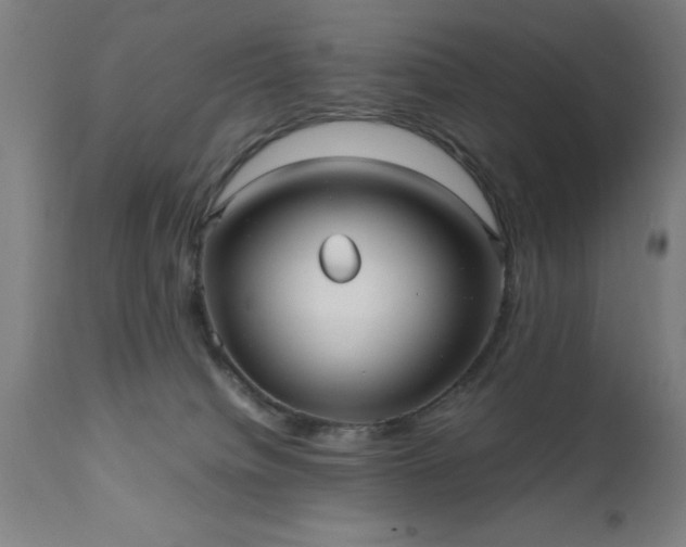 X0000111810084200907301243