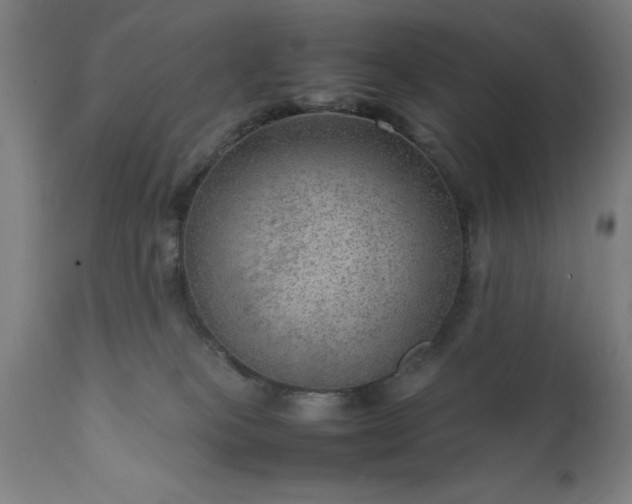 X0000111810085200907301243