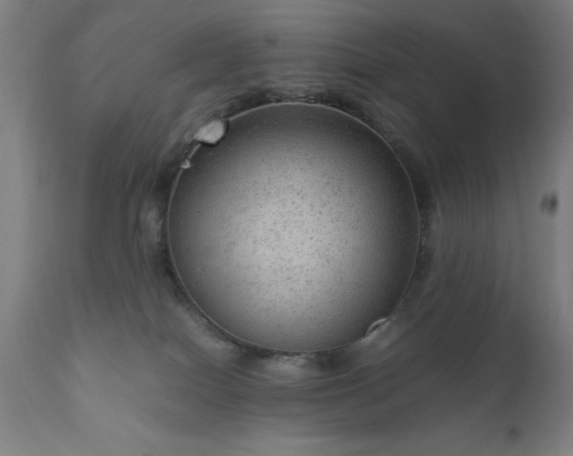 X0000111810086200907301243