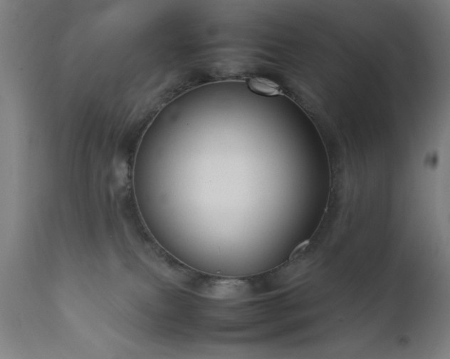 X0000111810087200907301243